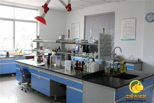 標(biao)桿工(gong)廠(chang)再(zai)創(chuang)輝(hui)煌(huang)——浙(zhe)江(jiang)播恩預混(hun)料教槽料產(chan)銷量破10000噸慶典隆重(zhong)舉行(xing)