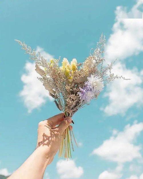 將時光(guang)釀成詩(shi) 那些(xie)溫(wen)暖(nuan)治愈(yu)的(de)文(wen)字與(yu)瞬(shun)間(jian)